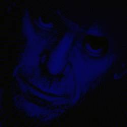 Lou Reed : Set the Twilight Reeling